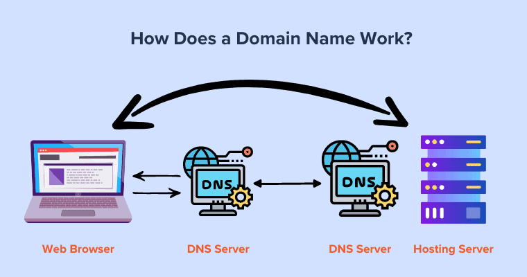 website Domain Name and Hosting